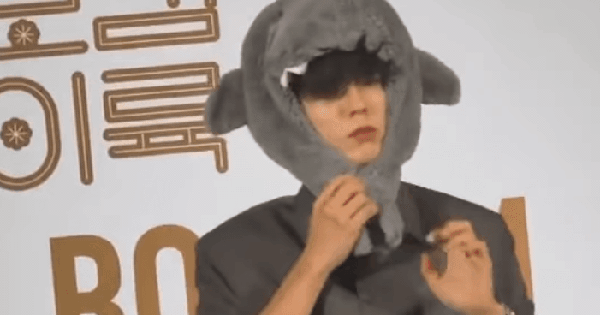 Khi cuộc đời cho Park Bo Gum quả bưởi honeycam 2026 01 26 16 19 19 1769421730473325316812 108 0 476 703 crop 1769421751849340257950gifpng