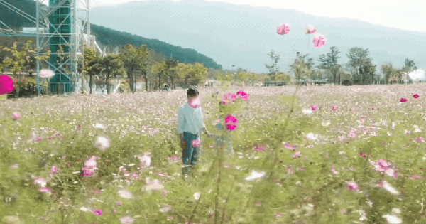 Tết rảnh quá thì mở phim Hàn này là chuẩn bài: Xem cười ha hả cả ngày, nam chính con ai yêu thế không biết honeycam 2026 02 20 09 17 52 177155774353172554933 149 0 666 987 crop 1771557755535535741257gifpng