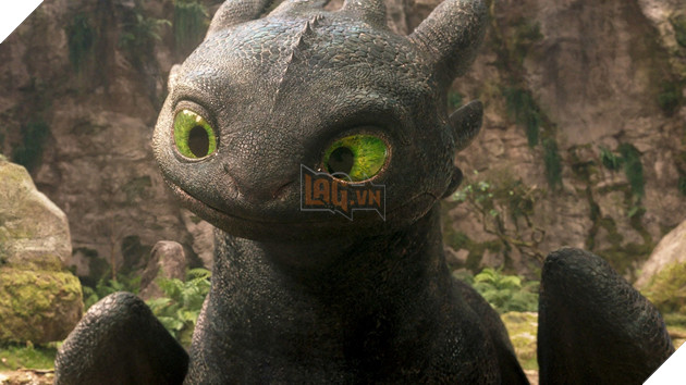 Hình ảnh về phim