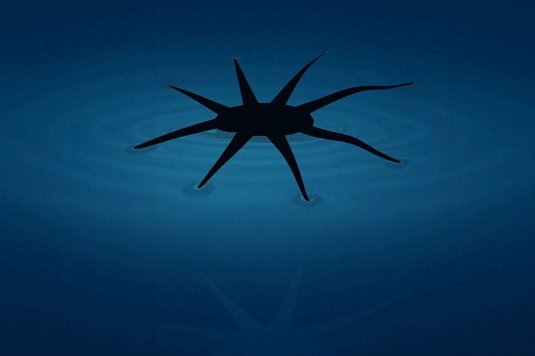 Độc lạ robot: Từ