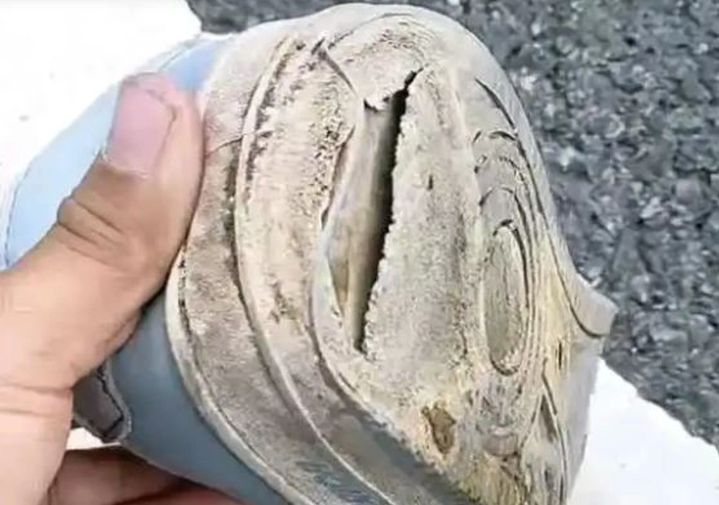 Đi xin việc nhưng bị lừa hết tiền, nam thanh niên đi bộ 1.400km về quê ăn tết, ngày ăn 1 bữa cầm cự- Ảnh 2.