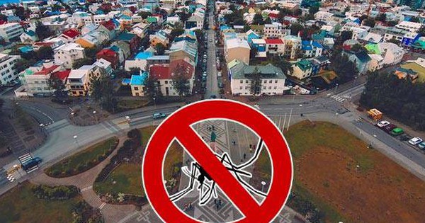 Một quốc gia không có bất kỳ con muỗi nào icel 650020317105923 17689838435571926252420 1768988195556 17689881957531246641045 0 41 350 601 crop 17689882131311312519821jpg