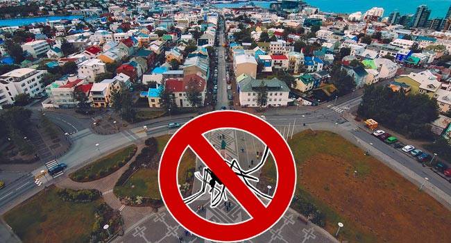 Một quốc gia không có bất kỳ con muỗi nào- Ảnh 1.