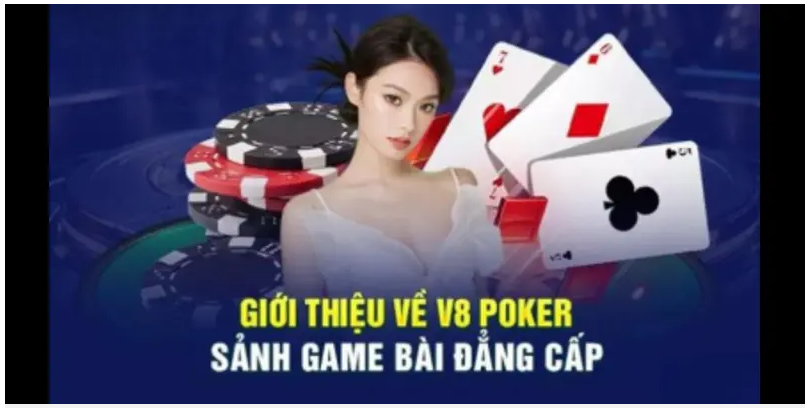 Đá Gà KUBET - Trải Nghiệm Sân Chơi Truyền Thống Đỉnh Cao Tại Nhà Cái Uy Tín image 20251217182943 3