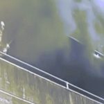 10 triệu người xem giải cứu cô gái và hai chú chó khỏi đám cháy image dai dien gifcuucho200 1765526605 271 width740height495 gif2mp4 auto cropjpg