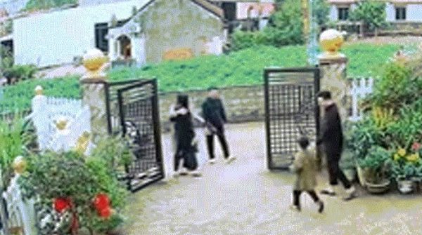 Con dâu về ngoại ăn Tết, bố mẹ chồng lái xe 9 tiếng vượt 400km về thăm image dai dien gifi xe 9 tieng vuot 400km ve thanh hoa tham 1071 1772090864 929 width740height495 gif2mp4 auto cropjpg