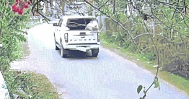 Trả lại con lợn 100 kg rơi giữa đường cho tài xế image dai dien gifroilon 1769479219 894 width740height495 gif2mp4 auto cropjpg 1