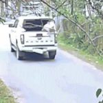 Trả lại con lợn 100 kg rơi giữa đường cho tài xế image dai dien gifroilon 1769479219 894 width740height495 gif2mp4 auto cropjpg