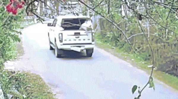 Trả lại con lợn 100 kg rơi giữa đường cho tài xế image dai dien gifroilon 1769479219 894 width740height495 gif2mp4 auto cropjpg