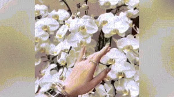 'Kết ấn cầu tài' là gì mà rần rần mạng xã hội? image dai dien giftaygaysot 1772427329 304 width740height495 gif2mp4 auto cropjpg