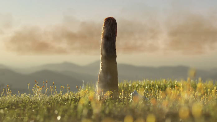 Một nhánh mới của sự sống Trái Đất vừa lộ diện? - Ảnh 1.