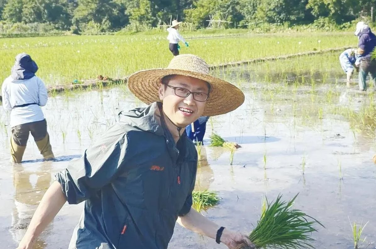 Phát minh của Trung Quốc làm rung chuyển ngành nông nghiệp, tạo ra giống có thể nhân đôi sản lượng lúa toàn cầu, tiết kiệm đến 99% chi phí tạo giống- Ảnh 1.