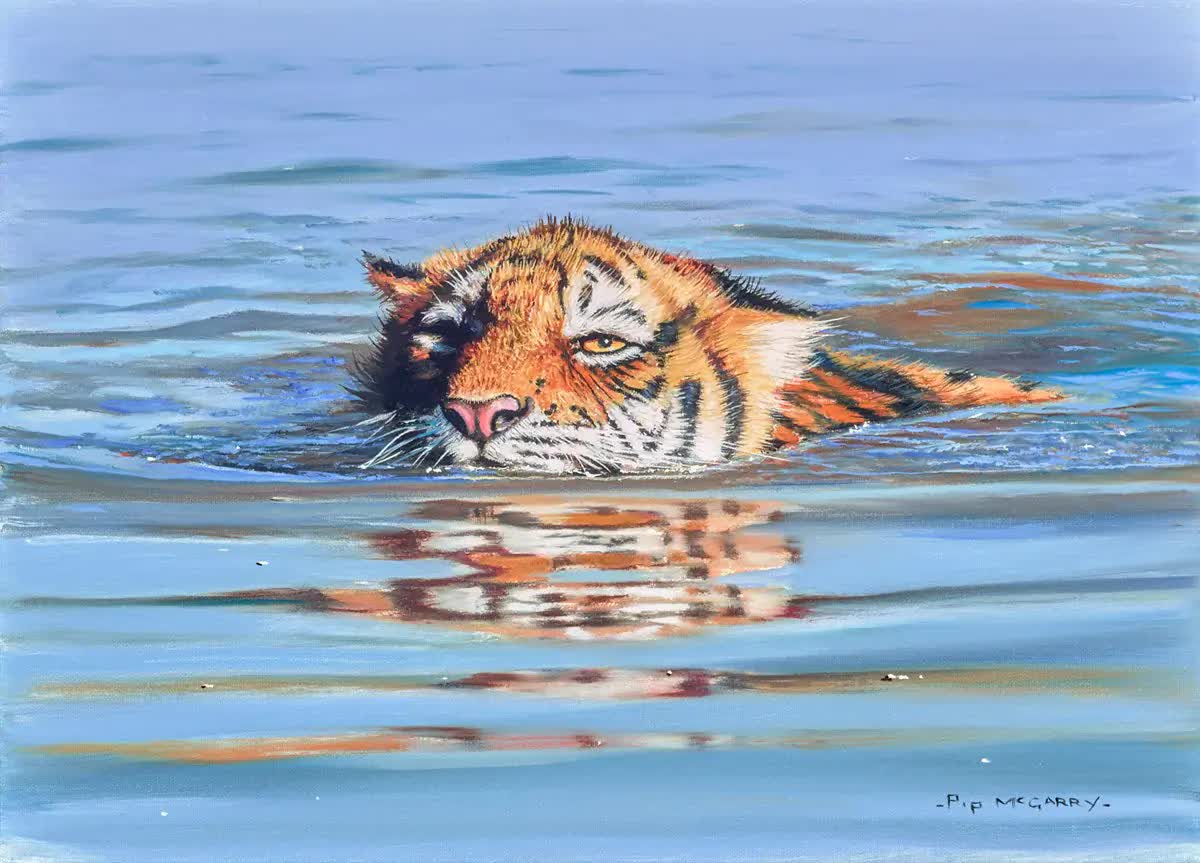 Toàn cầu chỉ còn hơn 5.000 cá thể hổ hoang dã, nhưng chúng lại là