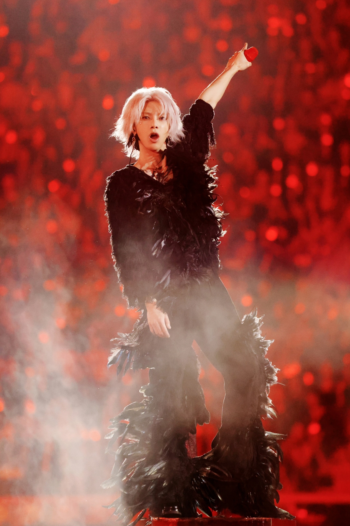 Ca sĩ Hoa Thần Vũ mua 3 mảnh đất để tổ chức hòa nhạc- Ảnh 3.