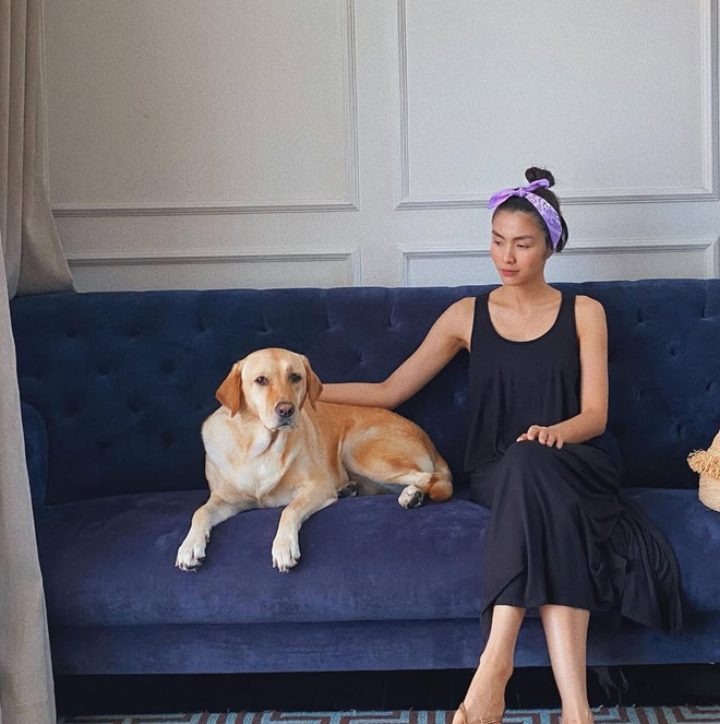 Chia buồn cùng Tăng Thanh Hà- Ảnh 6.