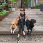 Chia buồn cùng Tăng Thanh Hà img1350 1766033584038 1766033584429892402325