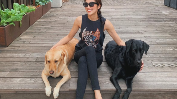 Chia buồn cùng Tăng Thanh Hà img1350 1766033584038 1766033584429892402325