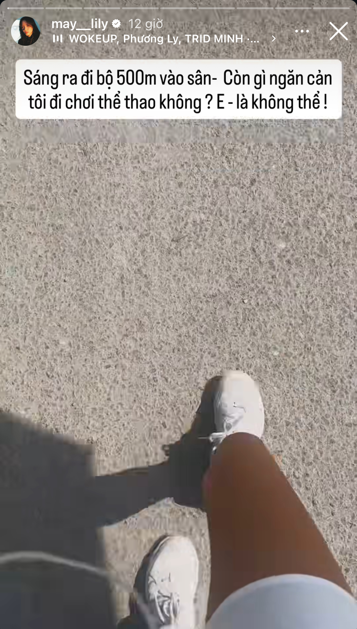 Phương Ly cố tình né tránh Andree?- Ảnh 1.