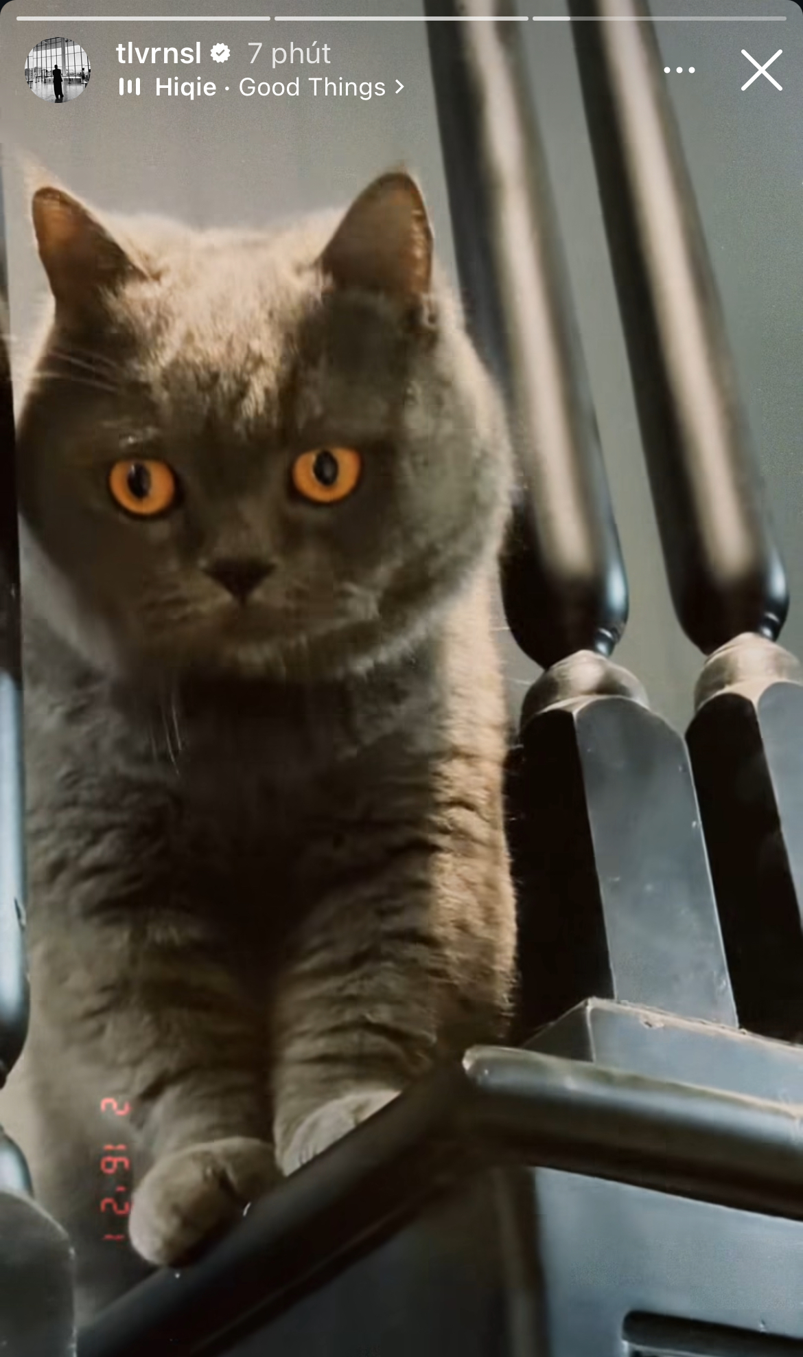 Sao Việt ngày Valentine: Tóc Tiên - Touliver thái độ trái ngược, Sơn Tùng để lộ hint lạ- Ảnh 14. Sao Việt ngày Valentine: Tóc Tiên - Touliver thái độ trái ngược, Sơn Tùng để lộ hint lạ- Ảnh 14.