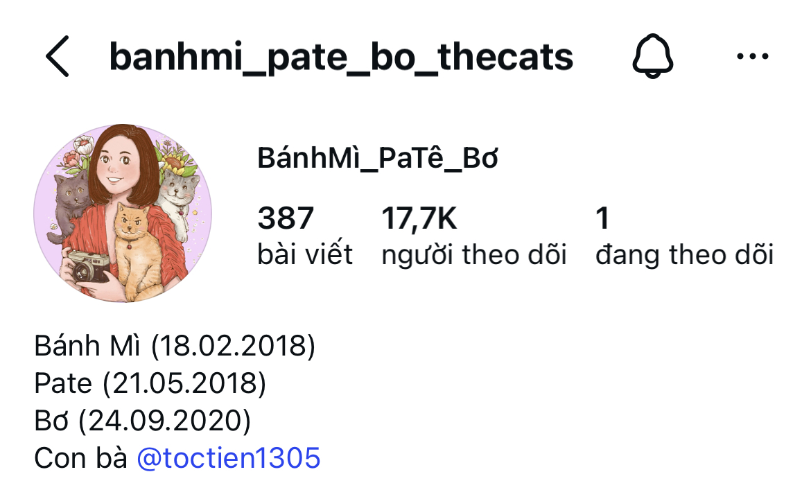 Điều khó phân chia của Tóc Tiên và Touliver sau ly hôn- Ảnh 2. Điều khó phân chia của Tóc Tiên và Touliver sau ly hôn- Ảnh 2.