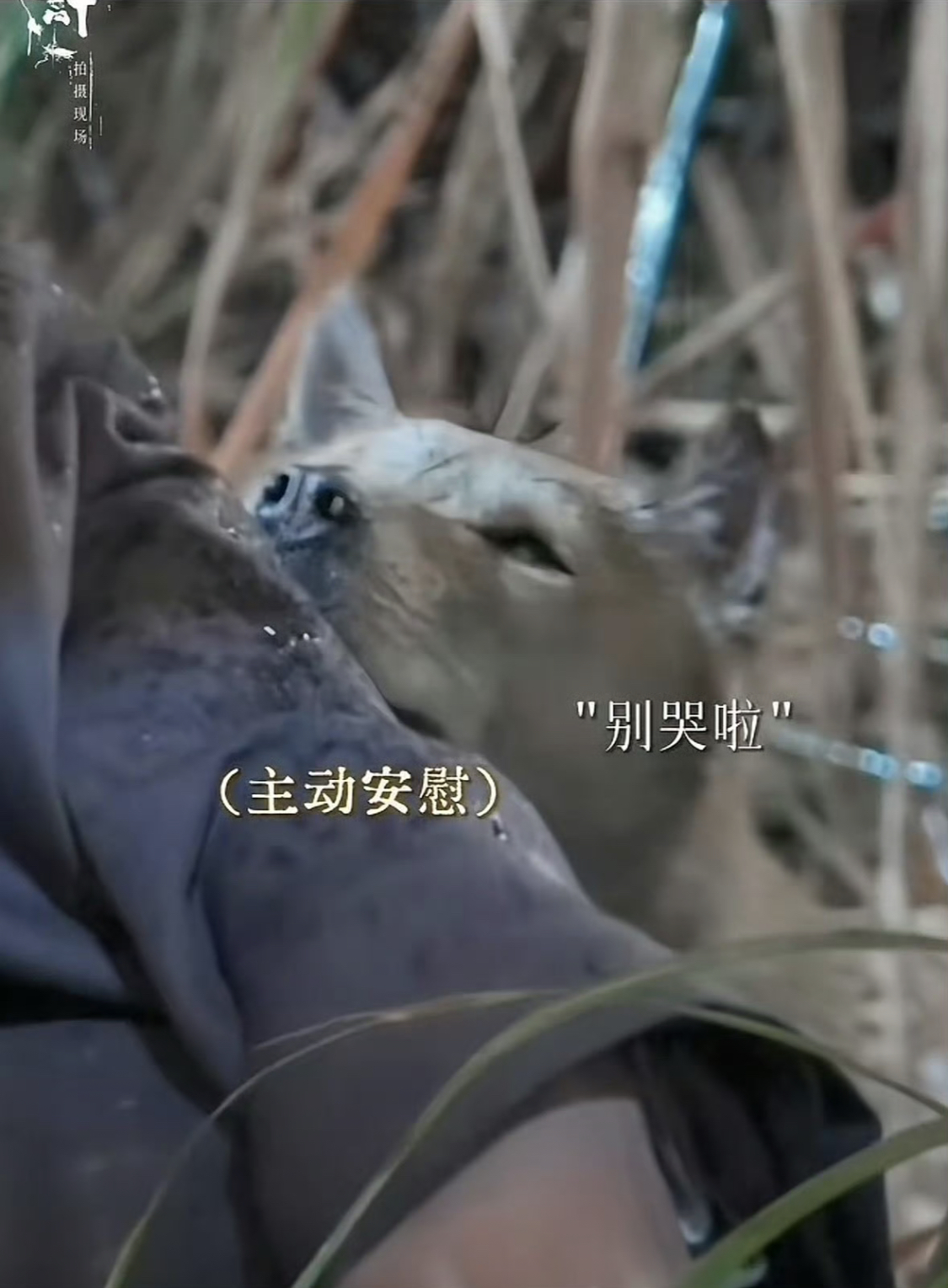 Mỹ nam đang viral khắp Trung Quốc vì cảnh khóc vô địch thiên hạ, chỉ một giọt lệ mà hút 200 triệu view- Ảnh 3.