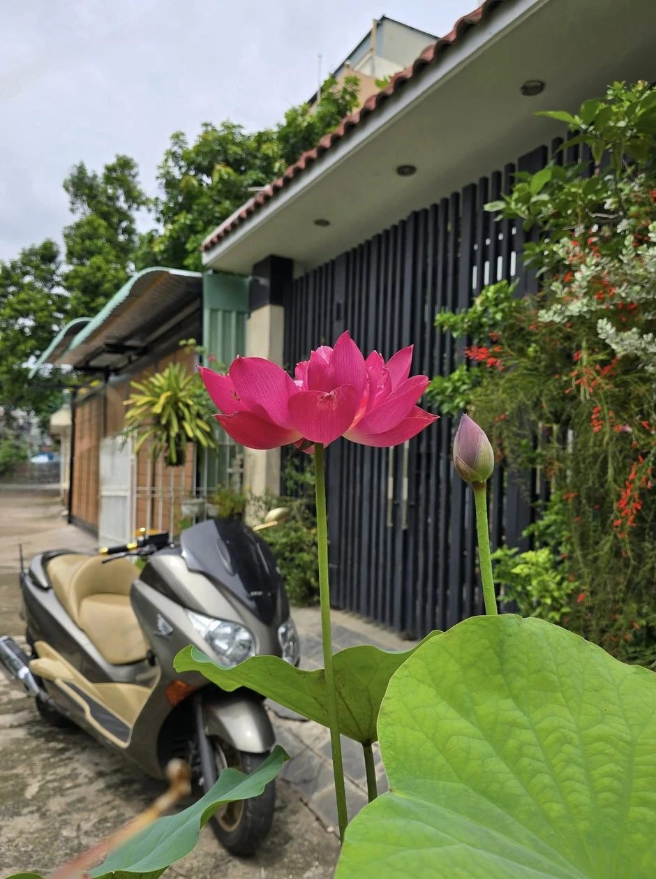 "Ông hoàng nhạc đỏ" nổi tiếng miền Nam: Mặn nồng bên vợ diễn viên, có cả nhà phố lẫn biệt thự 3000m2