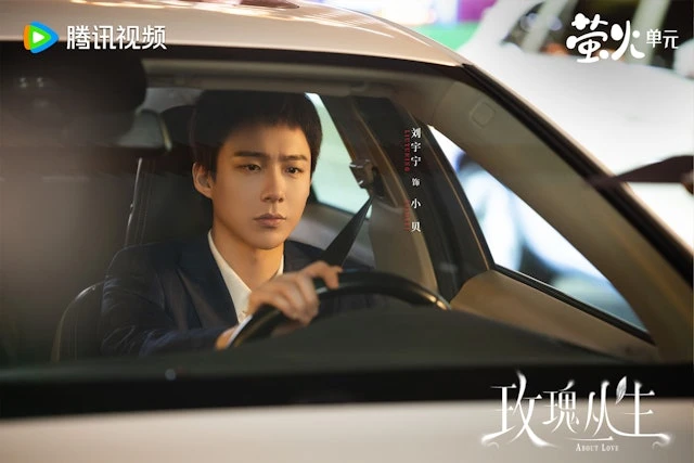 Hình ảnh phim Bụi Hoa Hồng – Đánh Giá Chi Tiết Hình ảnh phim Bụi Hoa Hồng – Đánh Giá Chi Tiết