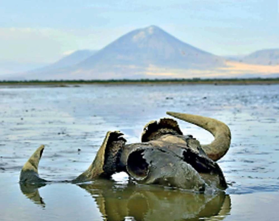 Bí ẩn hồ nước biến mọi sinh vật thành tượng đá ngay khi chạm vào Bí ẩn hồ nước biến mọi sinh vật thành tượng đá ngay khi chạm vào