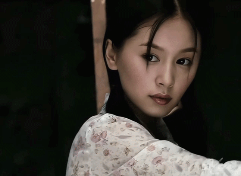 Chưa từng thấy cặp đôi nào đẹp như Lưu Chí Cương và Vương Tử Văn