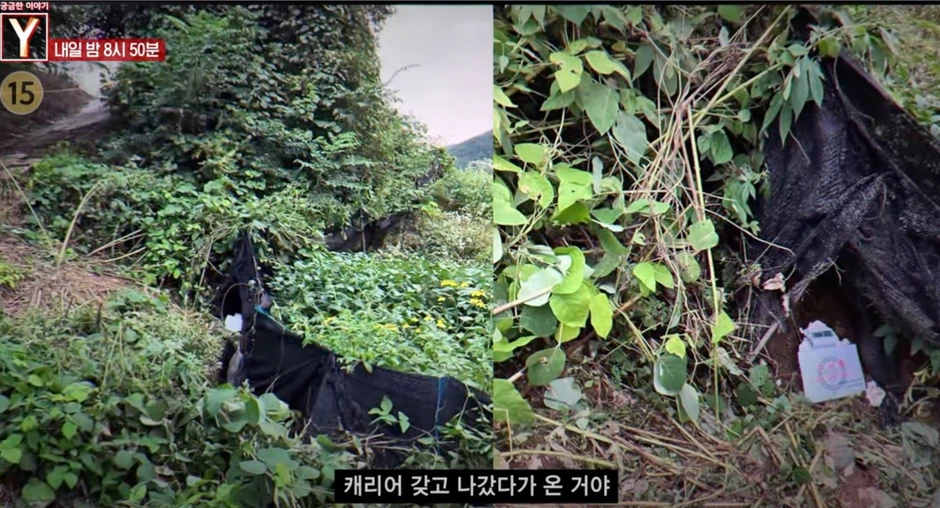 Công bố video vụ nữ diễn viên trẻ bị giết hại dã man, vứt xác trong bụi rậm