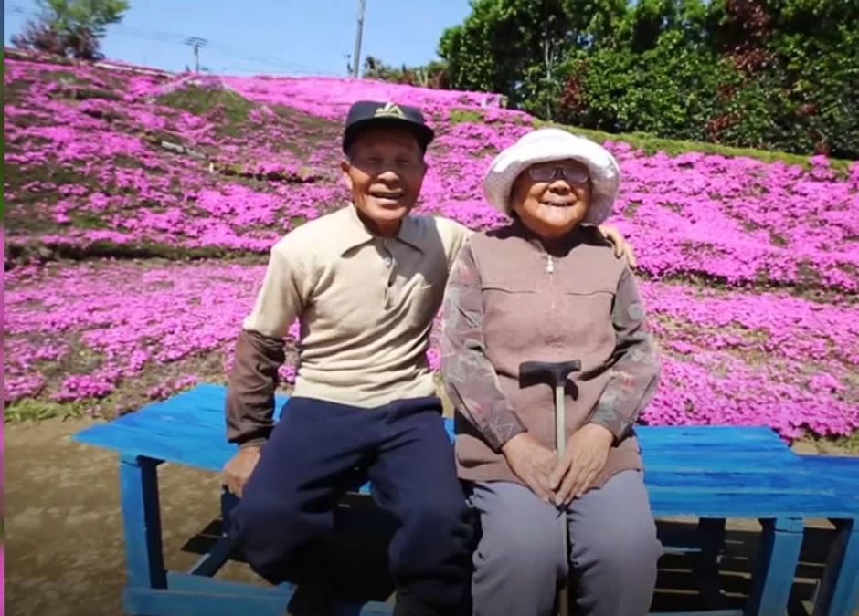 Cụ ông chăn bò ròng rã 2 năm trời trồng cánh đồng hoa để dành tặng người vợ mù