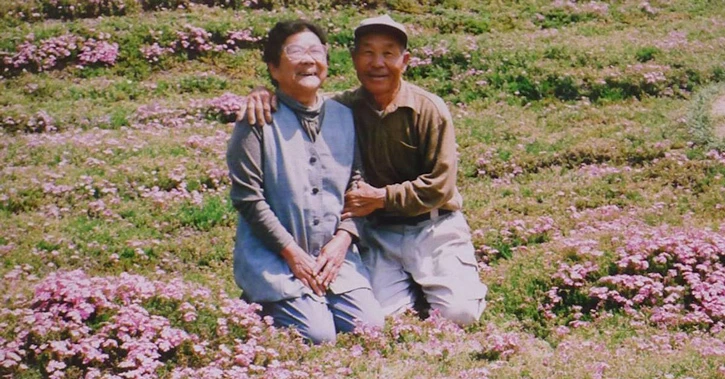 Cụ ông chăn bò ròng rã 2 năm trời trồng cánh đồng hoa để dành tặng người vợ mù