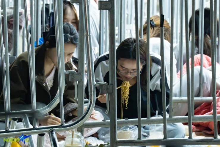 Fan nằm đất xuyên đêm, bám rào chờ xem concert Anh trai say hi