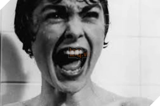 Jamie Lee Curtis Thừa Nhận Không “Mê” Phim Kinh Dù Là Biểu Tượng Của Dòng Phim Này