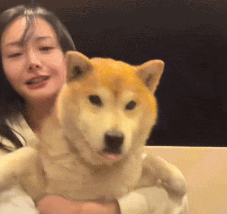 Khó tin nổi đây là Trịnh Sảng sau khi “dao kéo” toàn bộ gương mặt