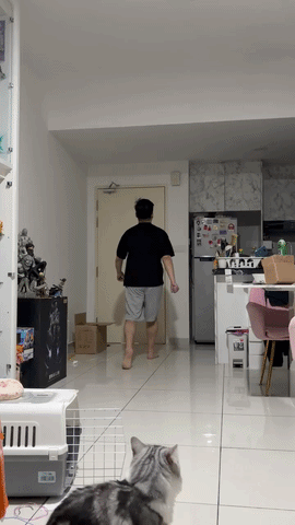 Lỡ tay "một nhát kéo", nam game thủ mất trắng gần 1 tỷ đồng: Nỗi hối hận muộn màng và bài học đắt giá!