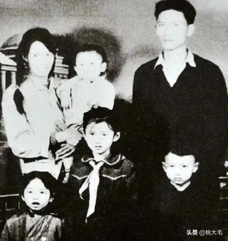 Dương Lệ Bình 70+ tuổi và Lời nguyền biến hóa thành “Công chúa Khổng Tước”: Hai lần ly hôn, từ bỏ làm mẹ để theo đuổi thánh đường nghệ thuật và nhan sắc không tuổi