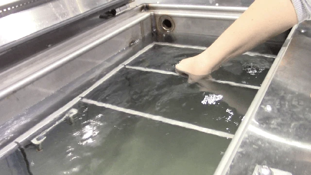 Phân hủy thi thể thành... nước rồi đổ xuống cống: Phương pháp mai táng thân thiện môi trường hay tận cùng của sự đáng sợ?