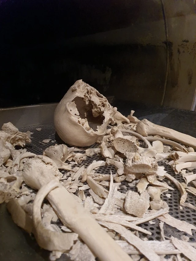 Phân hủy thi thể thành... nước rồi đổ xuống cống: Phương pháp mai táng thân thiện môi trường hay tận cùng của sự đáng sợ?