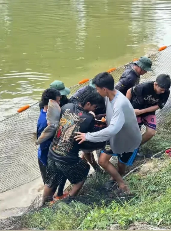 Phát hiện "quái vật" dưới sông, chục người khiêng mới nổi: Dân làng phối hợp vây bắt, cảnh tượng gây sốc