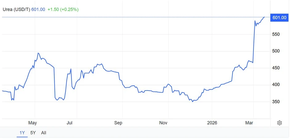 Sau đất hiếm, Trung Quốc siết xuất khẩu mặt hàng nuôi sống thế giới, làm rung chuyển thị trường lương thực toàn cầu