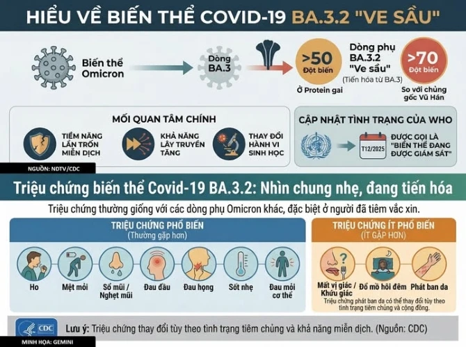 Tất cả những điều cần biết về biến thể COVID-19 "ve sầu" đang lây lan khắp 23 quốc gia, trong đó có cả Việt Nam Tất cả những điều cần biết về biến thể COVID-19 "ve sầu" đang lây lan khắp 23 quốc gia, trong đó có cả Việt Nam