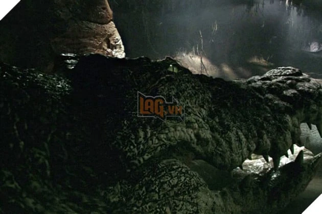 The Death Roll: Glen Powell Sản Xuất Phim Kinh Dị Cá Sấu Sát Thủ