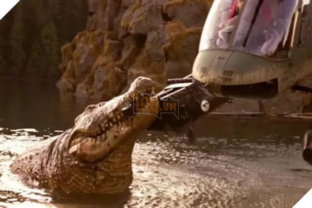 The Death Roll: Glen Powell Sản Xuất Phim Kinh Dị Cá Sấu Sát Thủ