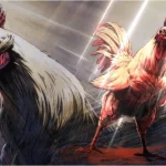 "Gà mà cũng báo thù?": Hiện tượng anime 2026 khiến netizen "ngả mũ" vì độ chất không tưởng! kenhtingame com thumb quot ga ma cung bao thu quot hien tuong anime 2026 khien netizen quot nga mu quot vi do chat khong tuong 4dc51774509677413 940w