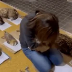 42 con cú gục chết hàng loạt sau vài giờ chỉ bởi lý do không tưởng kenhtingame com thumb 42 con cu guc chet hang loat sau vai gio chi boi ly do khong tuong 21231773716312156 940w