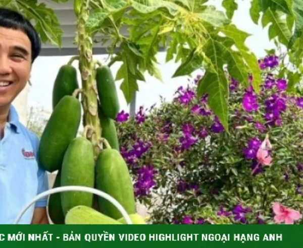 Biệt thự ngập hoa rộng 500 m2 của vợ chồng Quyền Linh kenhtingame com thumb biet thu ngap hoa rong 500 m2 cua vo chong quyen linh 34fb1774322794836 940w