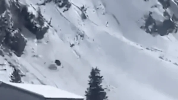 Cabin cáp treo văng khỏi dây và rơi xuống sườn núi, hành khách bên trong tử vong kenhtingame com thumb cabin cap treo vang khoi day va roi xuong suon nui hanh khach ben trong tu vong 1b741773904778557 940w