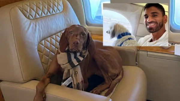 Đại gia thuê đứt chuyên cơ để chở thú cưng khỏi Dubai: “Đây là lựa chọn duy nhất đáng tin cậy nên tôi không quá bận tâm về chi phí” kenhtingame com thumb dai gia thue dut chuyen co de cho thu cung khoi dubai day la lua chon duy nhat dang tin cay nen toi khong qua ban tam ve chi phi ad6d1774613180471 940w