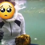 Khoảnh khắc lặn biển khiến 1 mỹ nhân suýt tù tội, "đi tong" sạch sự nghiệp! kenhtingame com thumb khoanh khac lan bien khien 1 m nhan suyt tu toi quot di tong quot sach su nghiep 348b1774917081981 940w